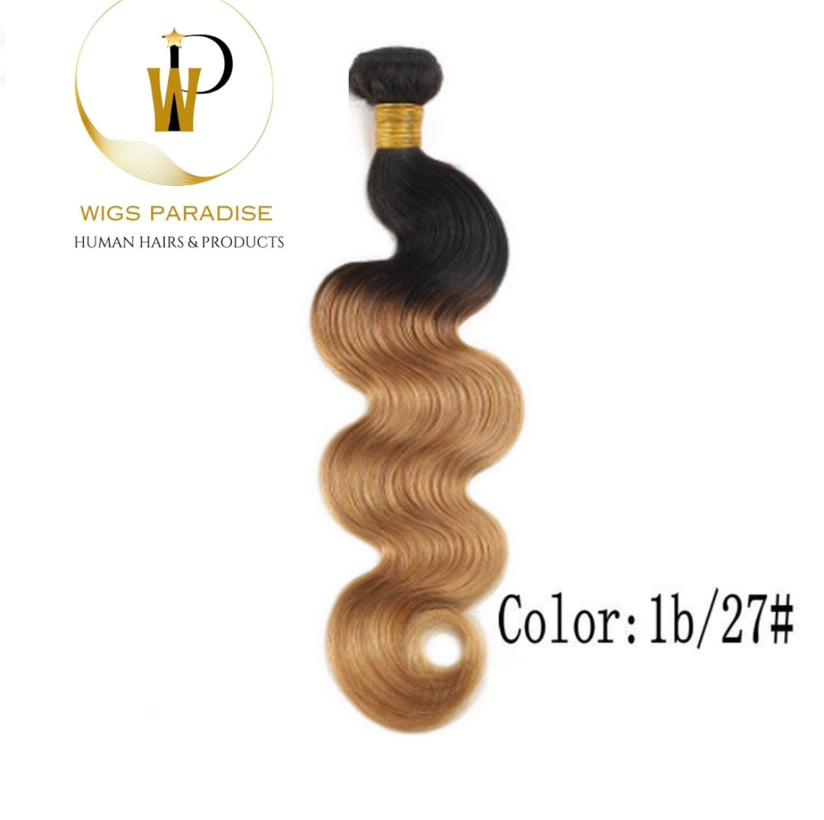 Ombre bundles human hair body wave weft 100% virgin hair