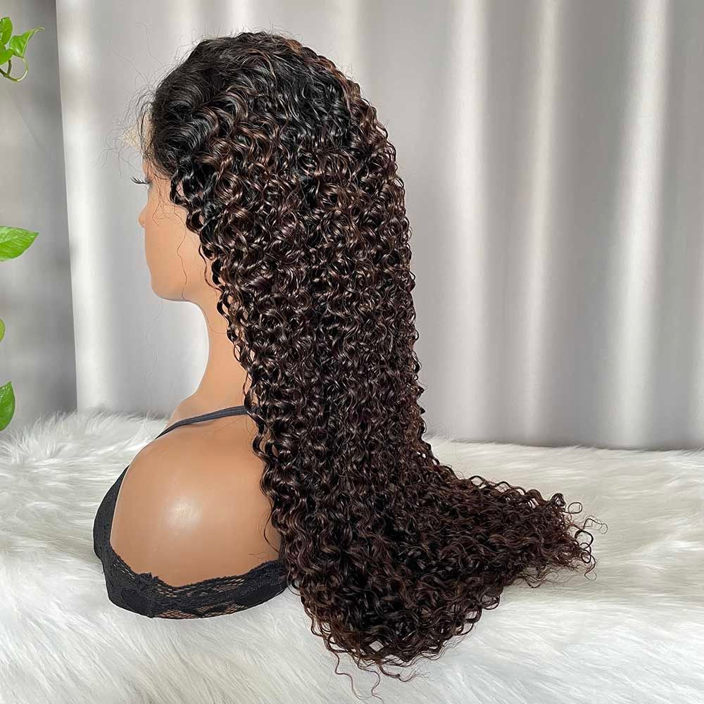 HD 5x5 Lace Closure Wig Jerry Curly Human Hair Dark Brown